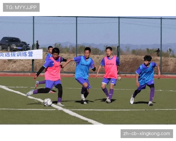 足球青训选拔中球员身体素质与技术意识的权重